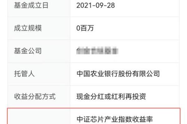 如何快速查询基金的最新信息与表现？