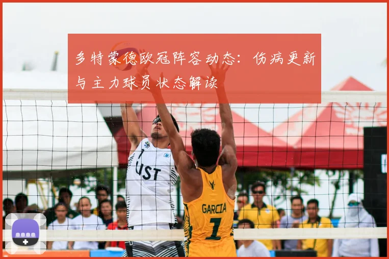 多特蒙德欧冠阵容动态:伤病更新与主力球员状态解读