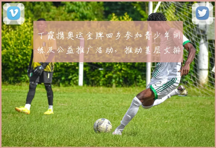 丁霞携奥运金牌回乡参加青少年训练及公益推广活动，推动基层女排发展